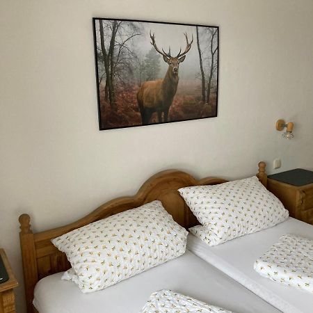 Ferienwohnung Sophia Грайнау Екстериор снимка